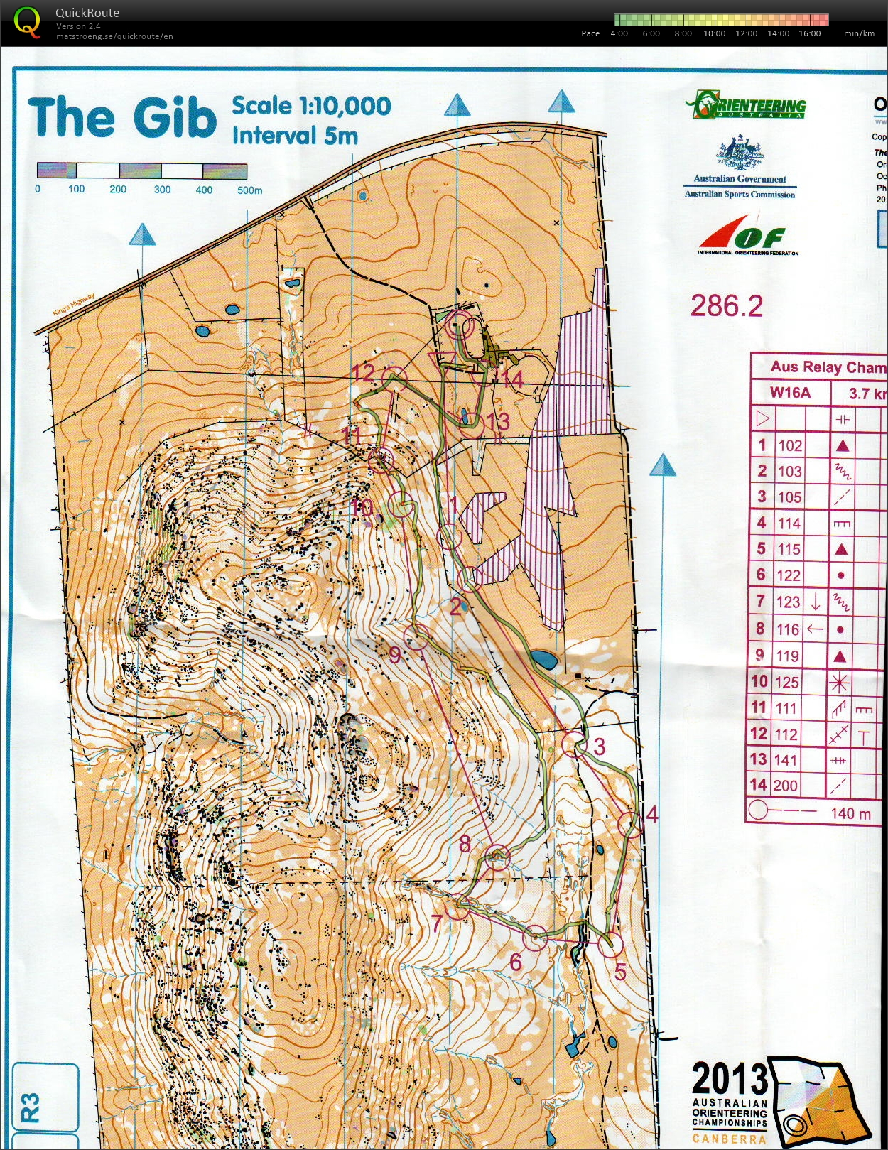 Australian Relay Championships (06/10/2013)