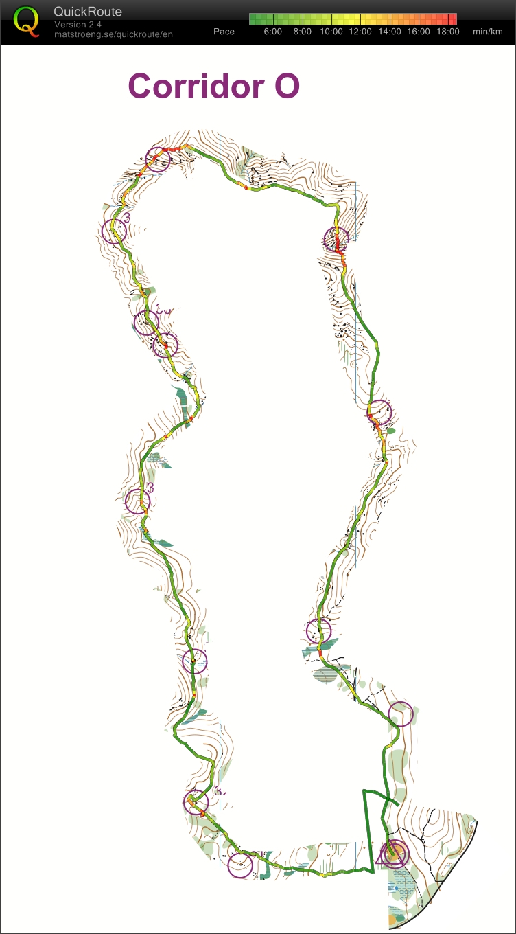 Corridor Exercise  (03.01.2014)
