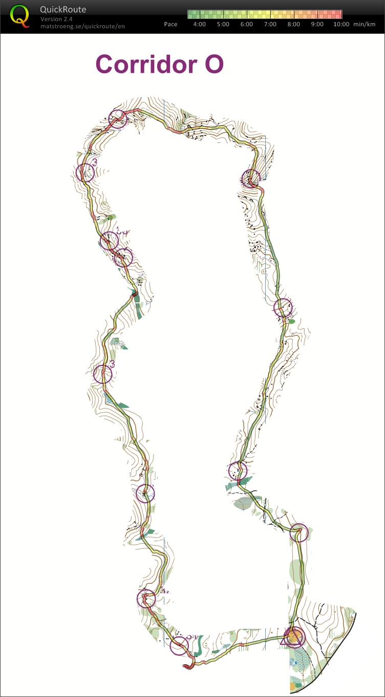 Mt Pearson Corridor (2014-01-03)